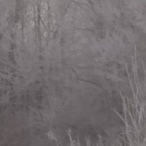 I'll be Selling Miscellaneous items .